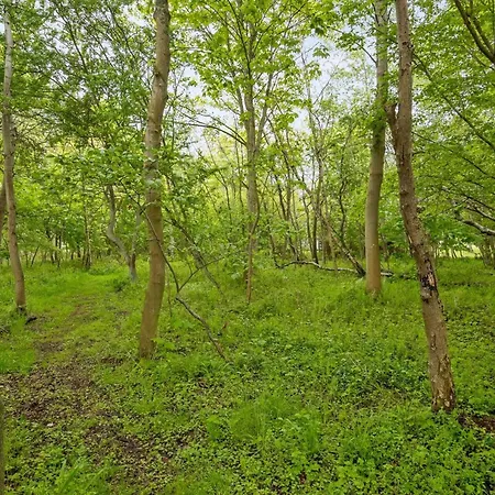 Casa de Férias Thrugels - 200m From The Sea By Interhome *